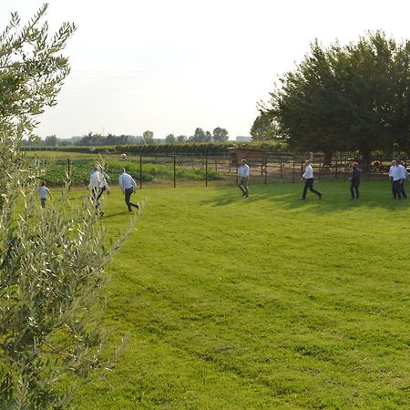 Agriturismo Al Casale Лониго Екстериор снимка