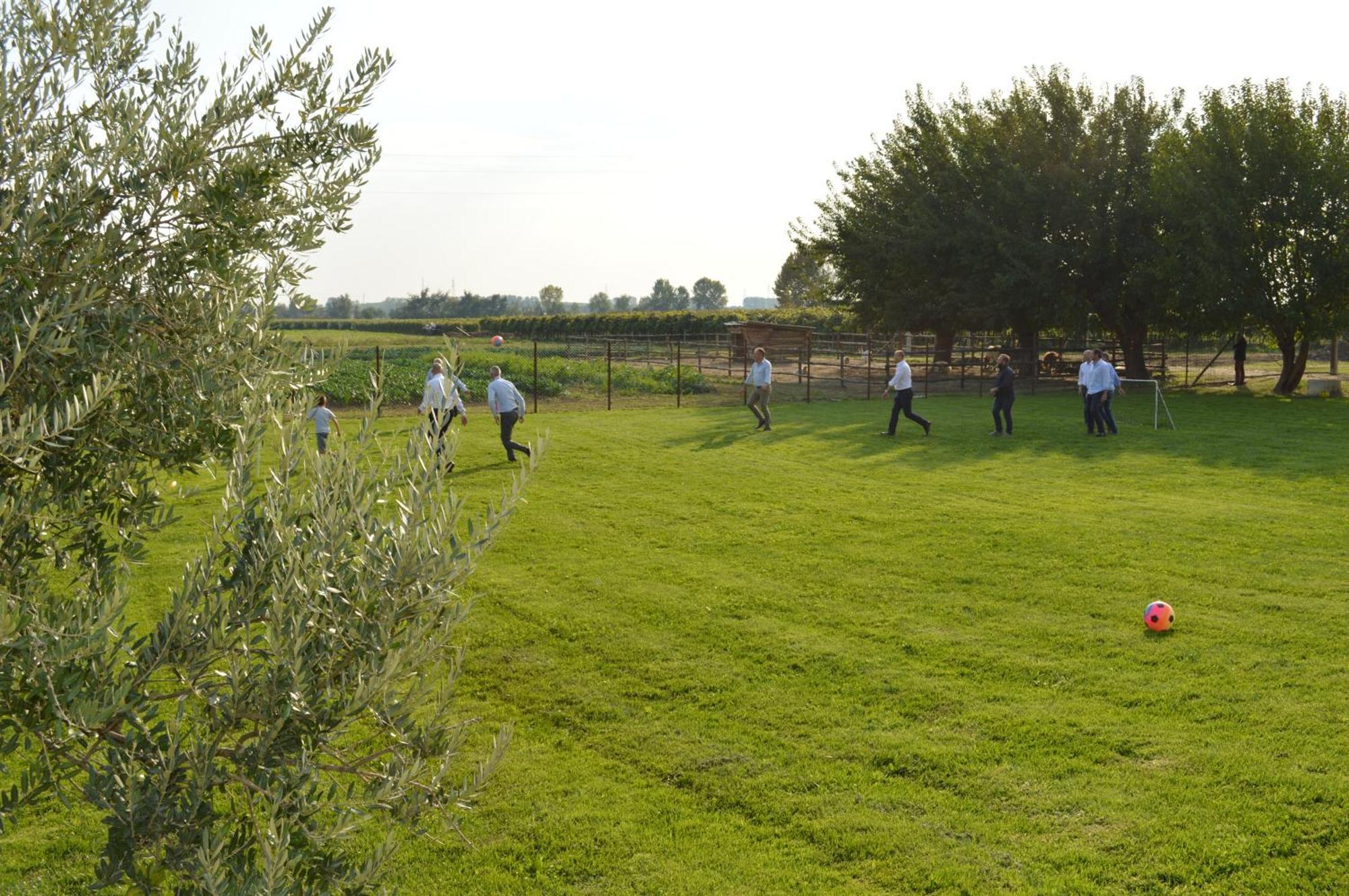 Agriturismo Al Casale Лониго Екстериор снимка